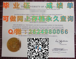 《法国威勒高等商学院毕业证书揭秘：国际认可与就业前景解析》）