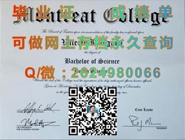 《揭秘都柏林理工学院毕业证含金量：如何助力你职场飞跃》）
