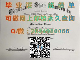《揭秘都柏林理工学院毕业证书含金量：全球认可的学历之路》）