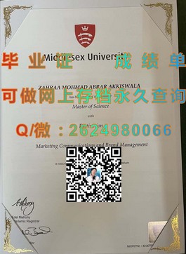 《法国威勒高等商学院：毕业证书含金量揭秘，你的留学梦想从这里启航》）