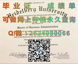 《揭秘圣安德鲁斯大学毕业证真伪，带你走进世界顶级学府认证之旅》）