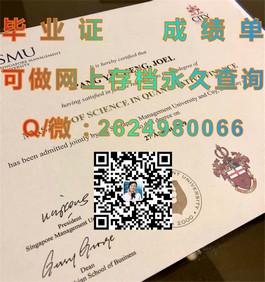 《柏林应用科学大学文凭解析：德国精英教育的实践凭证》）