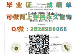 《德国柏林应用科学大学证书解析：权威认证，就业敲门砖！》）
