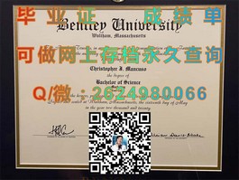《柏林应用科学大学学历认证：揭秘真实毕业证书的价值与获取途径》）