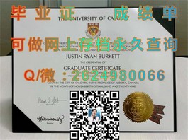 《慕尼黑工业大学毕业证背后的价值与认可度揭秘：留学回国就业的加分项》）