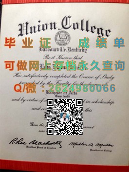 《新加坡共和理工学院毕业证书：揭秘真实含金量与就业前景》）