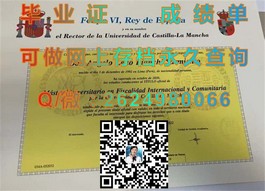 《揭秘都柏林理工学院毕业证含金量：如何获得国际认可的精英文凭？》）