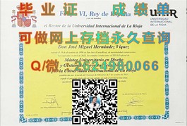 《解锁全球认可：新南威尔士大学毕业证背后的价值与优势》）