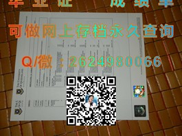 《怀卡托大学文凭解析：揭秘真实含金量与求职优势》）
