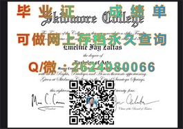 揭秘法国威勒高等商学院毕业证含金量：成就未来职场精英的秘密武器）