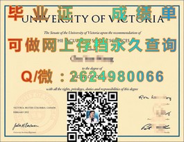 《新南威尔士大学学位证书解析：含金量揭秘与求职优势一览》）