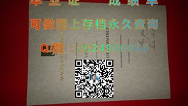《柏林应用科学大学证书解析：详解毕业证书背后的价值与含金量》）