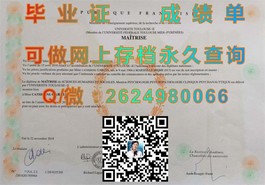 《法国威勒高等商学院：揭秘真实毕业证书含金量与就业前景》）