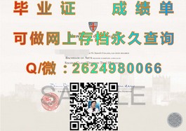 《杏林大学毕业证揭秘：学位含金量解析与就业优势一览》）