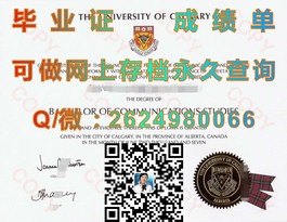 《卧龙岗大学官方认证毕业证书详解：如何辨别真伪与获取途径》）
