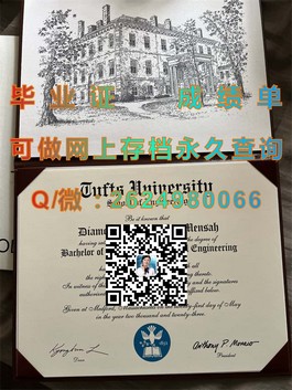 《布里斯托大学毕业证揭秘：全球认可，成就你的国际精英之路》）
