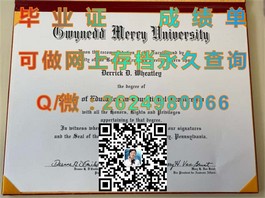 《柏林应用科学大学学历认证解析：权威毕业证书详解与价值解读》）