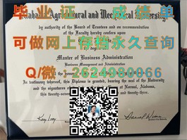 《揭秘杏林大学真实学历含金量：毕业证背后的全球认可度解析》）