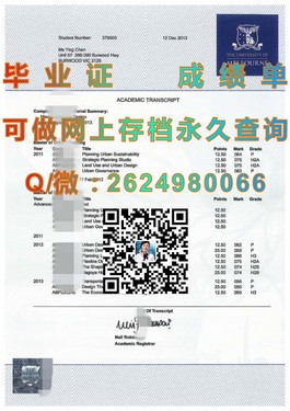 《揭秘都柏林理工学院毕业证含金量：权威认证助力全球就业前景》）