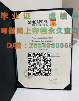 《都柏林理工学院毕业证书揭秘：如何获得这份国际认可的学位证书？》）