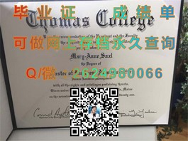 《解锁埃迪斯科文大学认证：揭秘毕业证书背后的价值与认可度》）