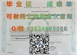 《新加坡共和理工学院毕业证书：权威认证，开启国际职场新篇章》）