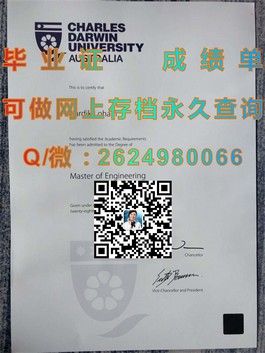 《揭秘都柏林理工学院毕业证含金量：全球认可，就业前景广阔》）