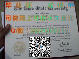 《新加坡共和理工学院毕业证解析：含金量揭秘与申请指南》）