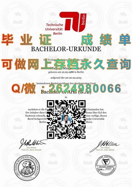 《都柏林理工学院毕业证书揭秘：国际认可度与职业前景一览》）