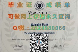 《法国威勒高等商学院：权威学历认证，揭秘国际认可毕业证书的魅力》）