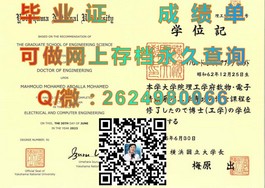 《新加坡共和理工学院毕业证书：揭秘全球认可的教育成果与就业优势》）