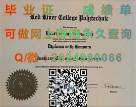 《揭秘都柏林理工学院毕业证含金量：全球认可，就业前景广阔》）