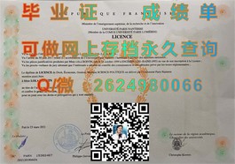 《卧龙岗大学文凭揭秘：权威认证，留学回国就业双重保障》）