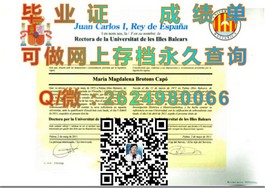 《S.P.Jain管理学院毕业证背后的价值与认可度解析》）