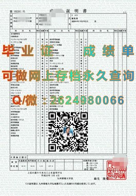 《柏林应用科学大学学历认证：揭秘真实毕业证书的含金量与用途》）