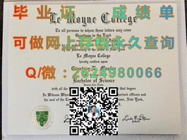 《揭秘爱尔兰顶尖学府：都柏林理工学院毕业证含金量及就业前景解析》）