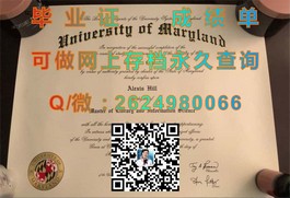 《新加坡共和理工学院毕业证书：权威解读与申请攻略》）