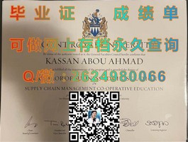 《都柏林理工学院毕业证背后的含金量：揭秘全球认可的学位魅力》）