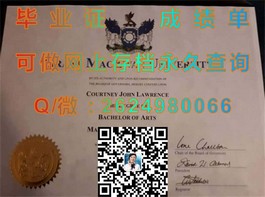 《揭秘法国威勒高等商学院含金量：毕业生证书解析与就业优势》）
