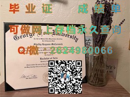 《揭秘都柏林理工学院毕业证含金量：名校认证，职场敲门砖！》）
