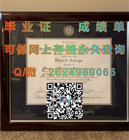 《解锁全球认可：新南威尔士大学毕业证的价值与含金量揭秘》）