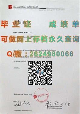 《揭秘都柏林理工学院毕业证含金量：如何让你的学历在全球职场发光发热》）