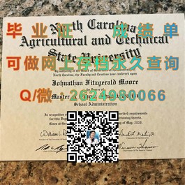 《圣安德鲁斯大学学位证书揭秘：全球精英摇篮的荣誉凭证深度解析》）