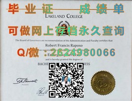 《都柏林理工学院毕业证解析：如何获取含金量高的国际认可文凭》）