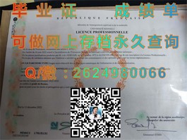 《慕尼黑工业大学毕业证解析：权威认证，开启全球职场新篇章》）