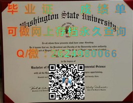 都柏林理工学院毕业证书详解：真实含金量解析与申请攻略）
