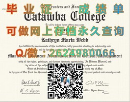 《都柏林理工学院毕业证书：揭秘全球认可的学位与职场优势》）