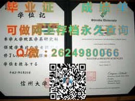 《怀卡托大学文凭解析：揭秘真实含金量与求职优势》）