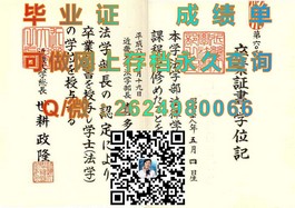 《德克萨斯大学毕业证背后的价值揭秘：如何鉴别真伪及就业优势》）