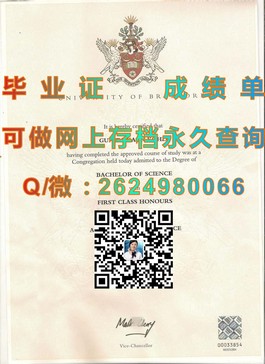 《慕尼黑工业大学毕业证含金量揭秘：详解学历认证与全球认可度》）